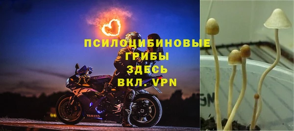 гидропоника Алексин