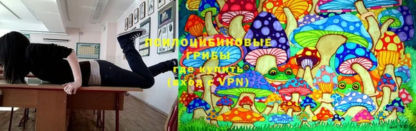 каннабис Алексеевка