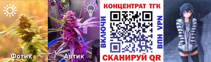 где купить   Комсомольск  ТГК концентрат 